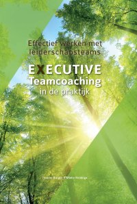 Executive Teamcoaching in de praktijk