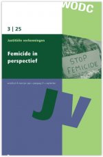 Femicide in perspectief