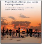 (On)zichtbare beelden van jonge aanwas in de drugscriminaliteit - Een meta-analyse van tien deelonderzoeken in de regio Midden-Nederland