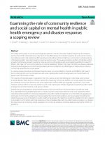 Examining the role of community resilience and social capital on mental health in public health emergency and disaster response: a scoping review